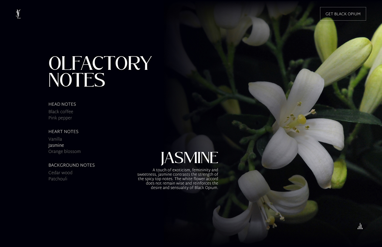 Black Opium Desktop - Notes Jasmin