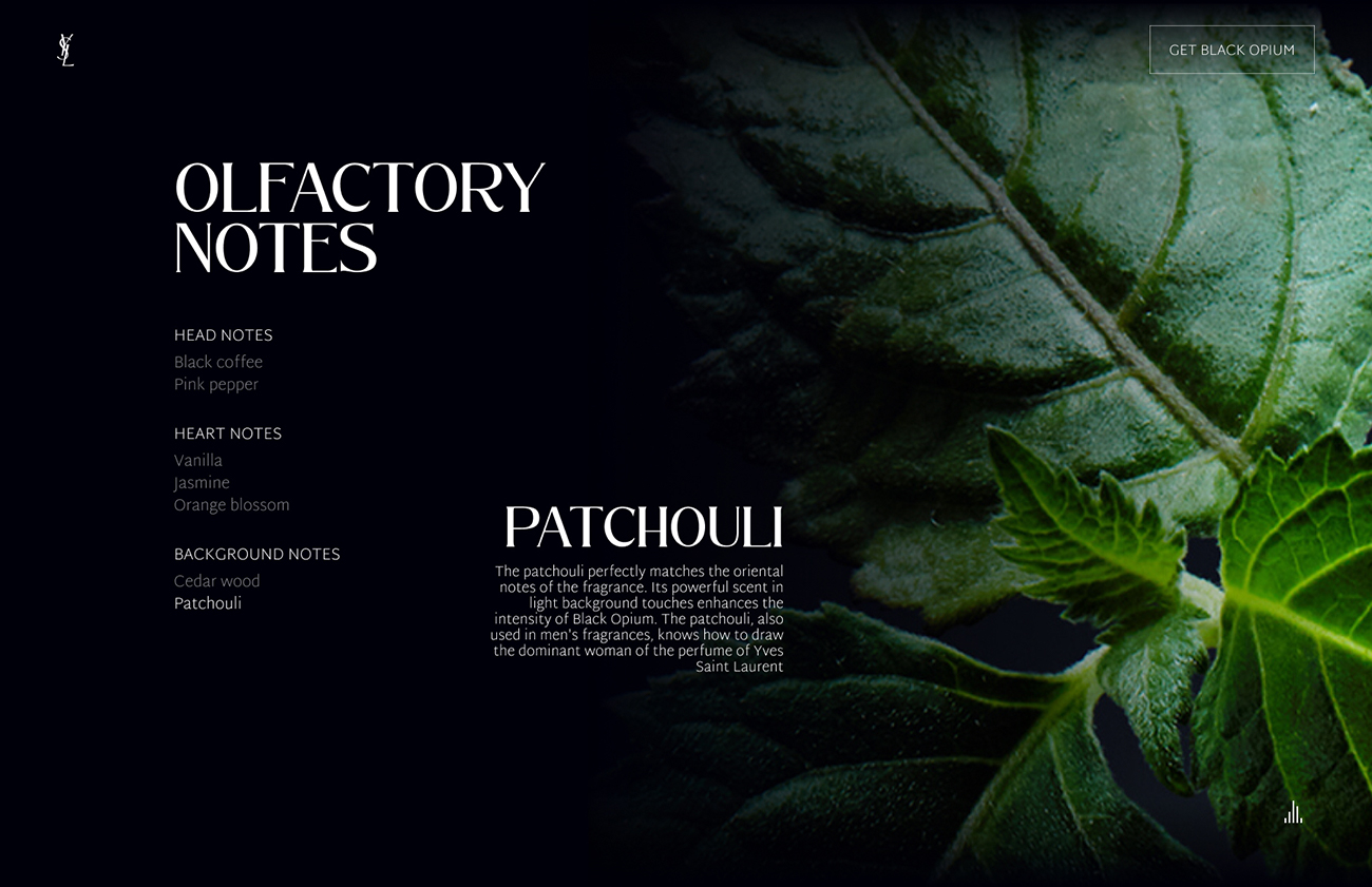 Black Opium Desktop - Notes Patchouli