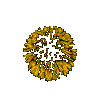 Fiirework